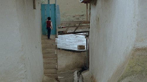 Wo ist das Haus meines Freundes? Bild 2