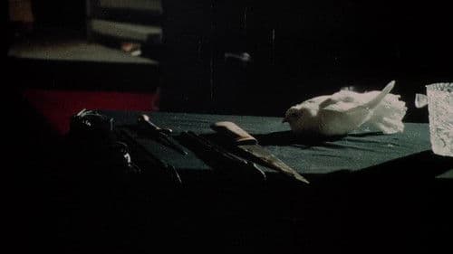 Nackte Haut und schwarzes Leder Bild 2