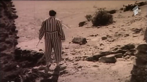 არდადეგები Bild 2