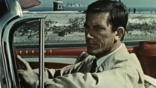 Im Nest der gelben Viper Bild 2