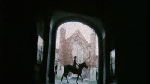 Caoineadh Airt Uí Laoire Bild 4