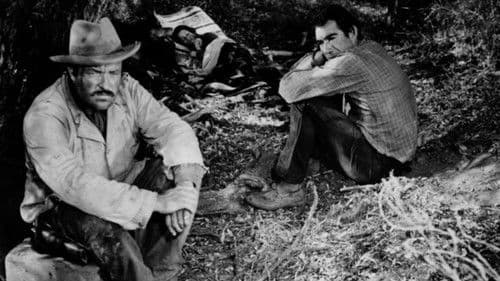 Der Ritt zurück Bild 6