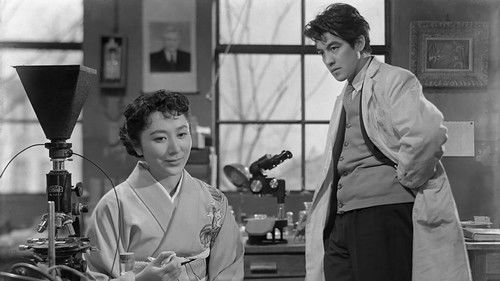 あした来る人 Bild 1