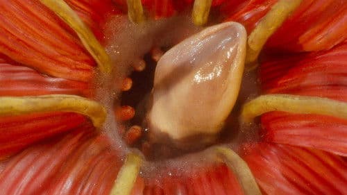 Adele hat noch nicht zu Abend gegessen Bild 3