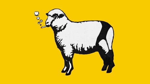 Was Sie schon immer über Sex wissen wollten, aber bisher nicht zu fragen wagten Bild 7