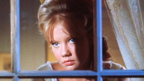 Summer Magic- Ein zauberhafter Sommer Bild 5