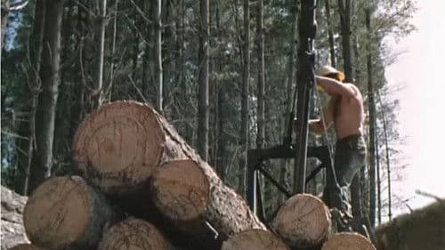 Life in Australia: Mount Gambier Bild 3