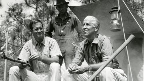 Im Reich der wilden Tiere Bild 4