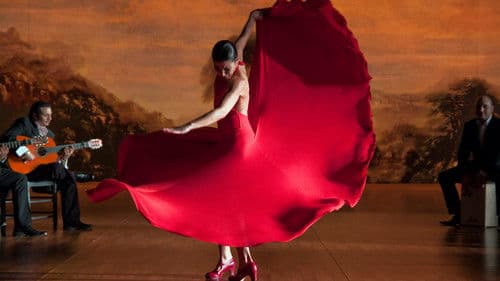Flamenco Flamenco Bild 8