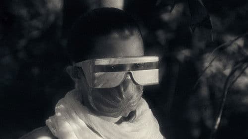 Der Stand der Dinge Bild 3