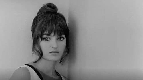 Trans-Europ-Express Bild 3