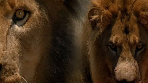 Der Geist und die Dunkelheit Bild 4