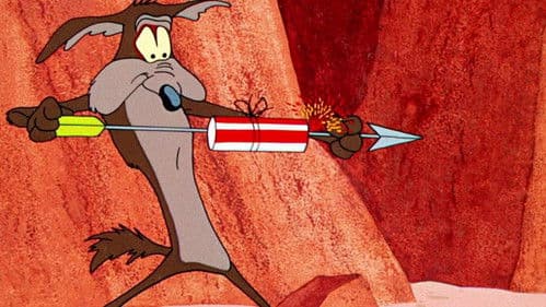 Kein Mittagessen für Kojote Bild 4