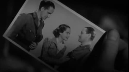 Der Weg im Dunkel Bild 2