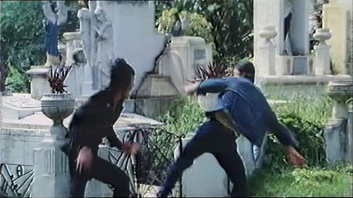 Die Stunde der tödlichen Fäuste Bild 3