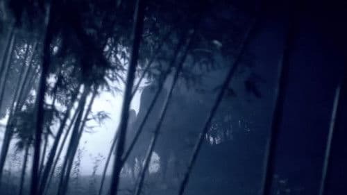 七宝传奇之氽来神钟 Bild 1