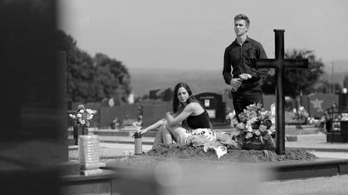 Пролећна песма Bild 7