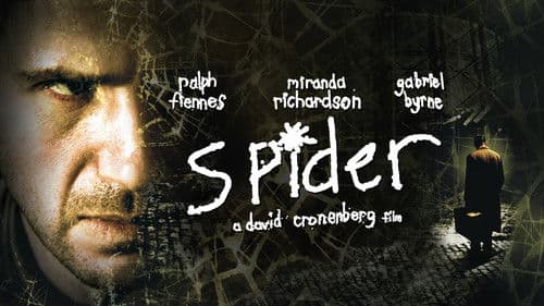 Spider Bild 1