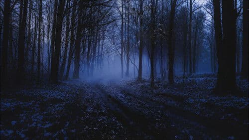 R. L. Stine's The Haunting Hour Bild 8