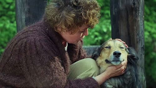 Cztery pory roku Bild 6