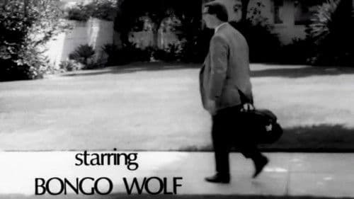 Bongo Wolf’s Revenge Bild 1