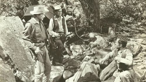 Der einsame Adler Bild 3