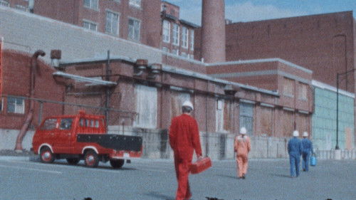 Week in Paradise Bild 1