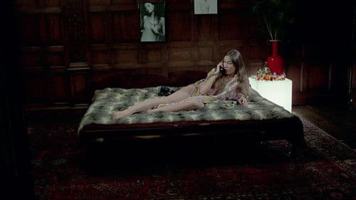 Sugar Cookies Bild 2