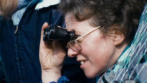 Männer, Mädchen und Medaillen Bild 1