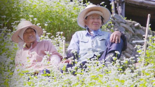 Hometown Stories Bild 2