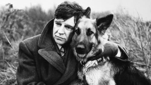 We Think the World of You Bild 2