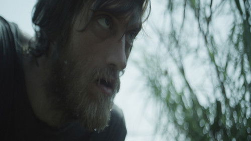 Imperial Blue Bild 4