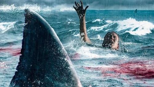 Beneath the Surface Bild 1