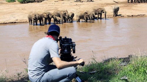 Chasing the Rains Bild 5