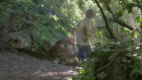 Pelle vegetale. Un'intervista Bild 1