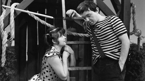 Zlatá hvězda na cestách Bild 1