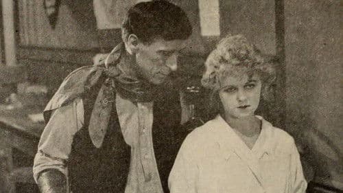 The Border Wireless Bild 1