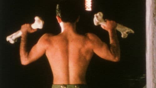 Johnny Minotaur Bild 2