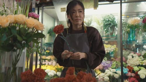 ラプソディ・ラプソディ Bild 4