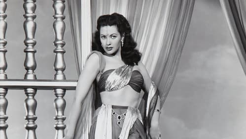 Der Wüstenfalke Bild 1