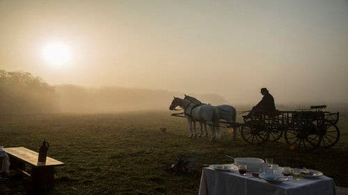 A fekete bojtár Bild 1