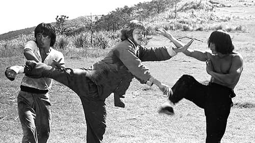 Die Blutsbrüder der grausamen Fäuste Bild 3