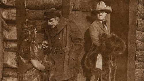 Tangled Trails Bild 1