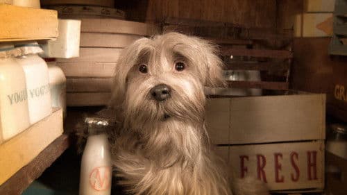 Higglety Pigglety Pop! or There Must Be More to Life Bild 1