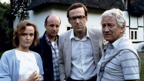 After Pilkington Bild 1