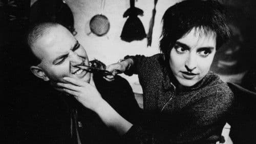 Die Jungfrauenmaschine Bild 2