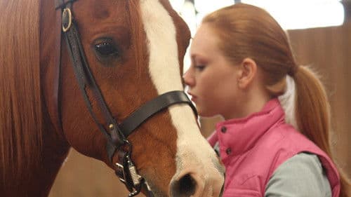 Glory - Eine ungezähmte Freundschaft Bild 2