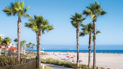 California Dreaming – Der Zukunft einen Schritt voraus Bild 1