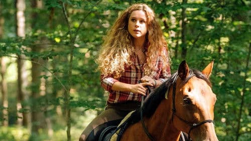 Reiterhof Wildenstein Bild 3