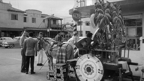 The Tijuana Story Bild 5